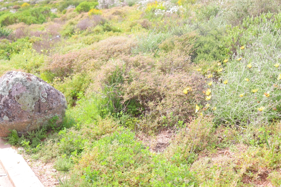 0 Bedroom Property for Sale in St Helena Views Western Cape